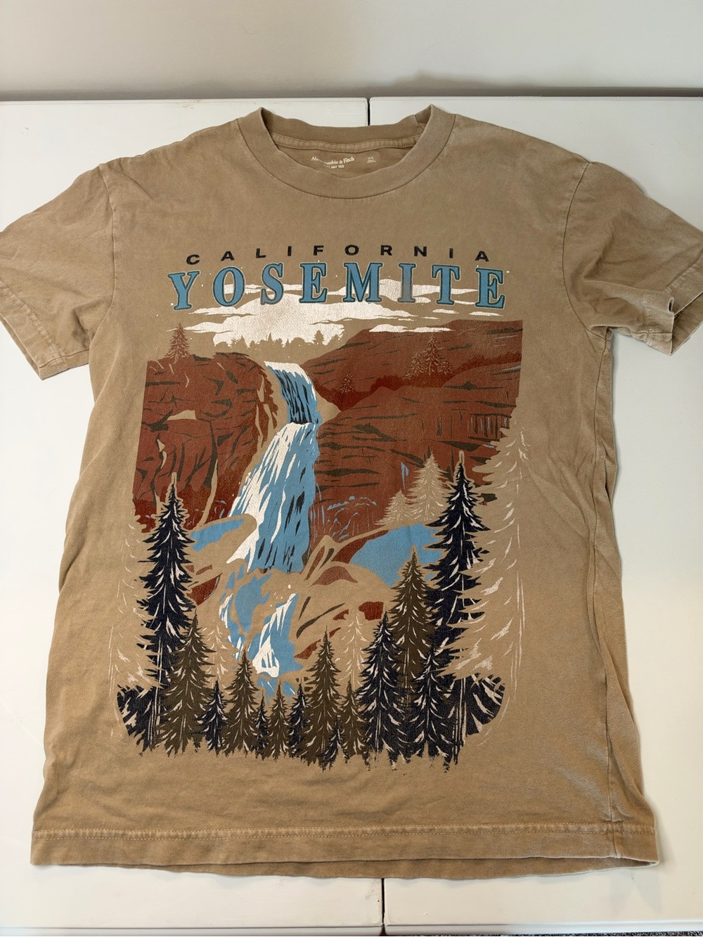 Abercrombie & Fitch Tan Yosemite Graphic Tee with Blue Accents